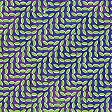 �����E�F�U�[�E�|�X�g�E�p���B���I��