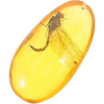 Amazon | CALLARON 琥珀の化石 ユニークな石 樹脂昆虫標本 昆虫