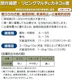 [タネ]マルチ大麦 てまいらず 2kg [4～6月まき][緑肥、敷き藁、雑草防止に！] ノーブランド品