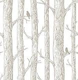 貼ってはがせるシール壁紙 NuWallpaper　 The Forest Peel and Stick Wallpaper / NU2081