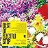 V.A.「BEST OF ELECTRO STEP」