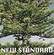 Peppertones 2集 - New Standard (韓国盤)