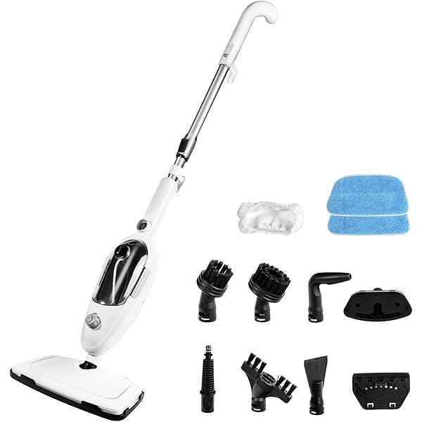 LEIFHEIT Singapore WHAT exactly are Steam Mops & HOW do they work
