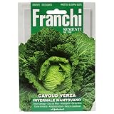 野菜の種 サボイキャベツ INVERNALE MANTOVANO 33/19