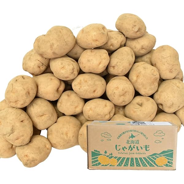 Amazon.co.jp: 訳あり じゃがいも じゃがいも メークイン ポテト