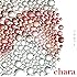 Chara「プラネット(通常盤)」