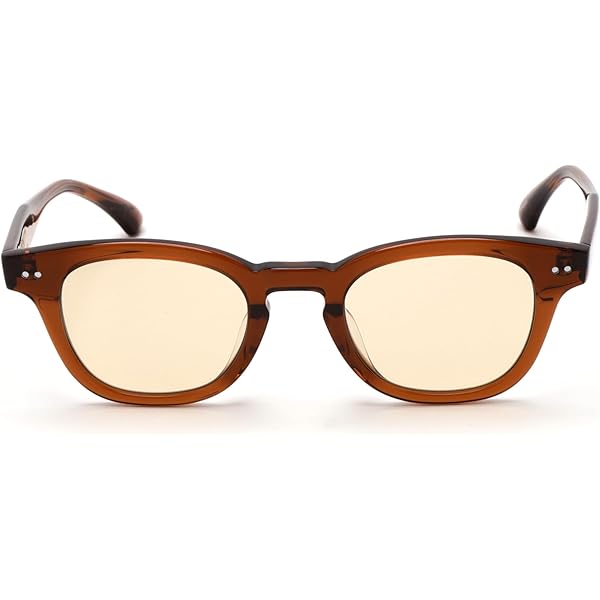 Amazon.co.jp: 【Schott】【ショット】 NOAH ノア サングラス メンズ F