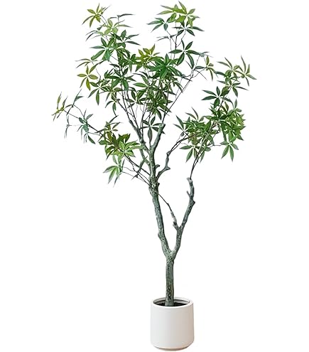 Amazon | 光触媒 光の楽園 ベンジャミンスリム1.6m【インテリア