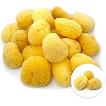 61ctjzPelRL._AC_UL210_SR210,