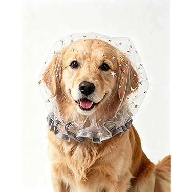 Amazon.co.jp 最新リリース: 犬用首輪・ハーネス・リード の新着