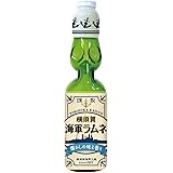 調味商事 横須賀海軍ラムネ 200ml×5本