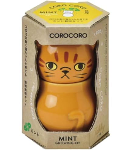 Amazon｜聖新陶芸 コロコロキャット 白/ワイルドストロベリー