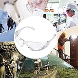 Jiayuane 安全眼鏡高性能カーブクリア透明防護メガネ