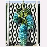 moiitee 造花　飾り　藤の花　壁掛け　観葉植物　12セット　緑 (青い)