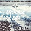Meaning of Life※初回限定盤 (CD+DVD)