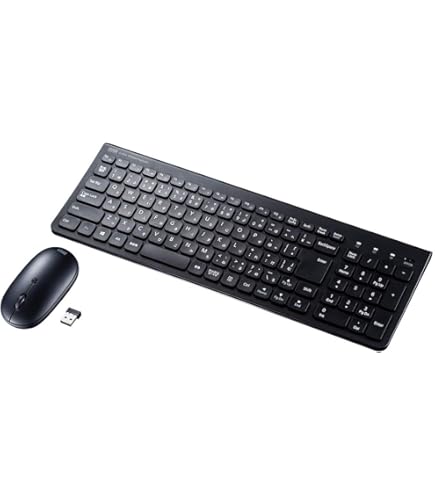 Amazon.co.jp: サンワサプライ(Sanwa Supply) ワイヤレス静音