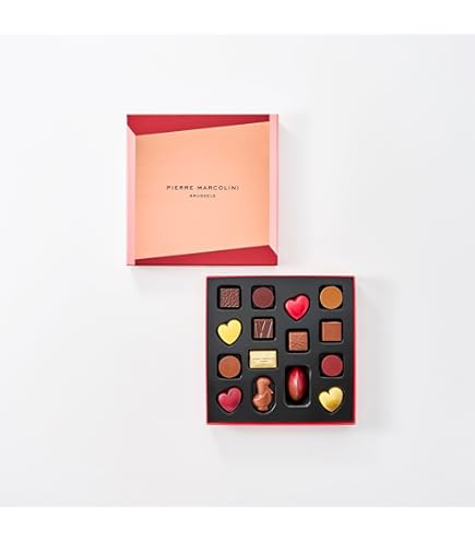 Amazon.co.jp: パトリック ロジェ Patrick Roger ロシェ 16粒 代表作