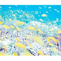 鍵井靖章　パイインターナショナル　絶版　三部 unknown(未知の海)【初版限定ポストカード付き】 | 鍵井 靖章