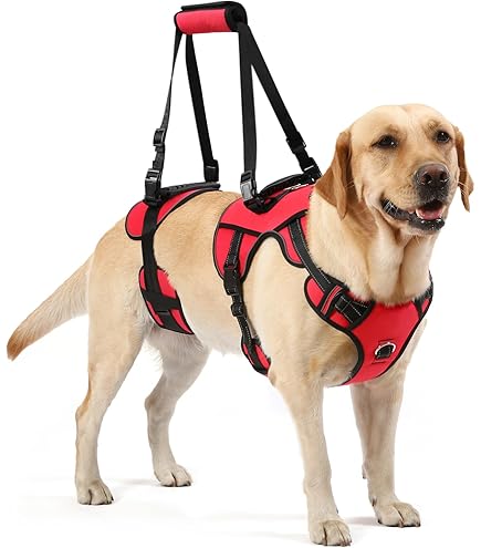 Nature Pet Draaghulp voor honden voor het hele lichaam van 4 mm dik neopreen, doorlopende draaghulp met sterk gevoerde hefgordel (L