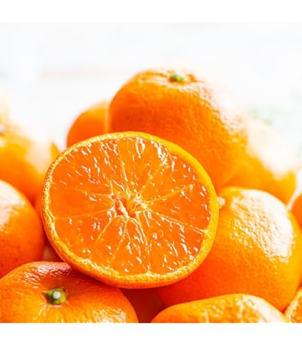 マジックナイト　高知産　約５Kgx２　甘い山北みかん　３ｓ、２ｓ　秀品 Amazon.co.jp: 高知産 山北みかん 2S,3Sサイズ 約5Kg 小粒サイズ