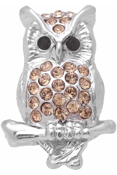 スワンクピンスセット・フクロウのオーケストラ