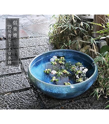 珍品 特大 水鉢 大鉢 花器 大皿 作者不明 直径63cm オブジェ Amazon | スイレン鉢蓮鉢 水鉢 大型水鉢サイズ1鉢 めだかの鉢用