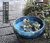 信楽焼 25号手ひねり特大　青ビードロ すいれん鉢 メダカ鉢 睡蓮鉢 スイレン鉢 金魚鉢 水鉢 陶器 su-0226 (直径730×高さ290mm)