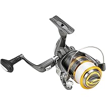 リール Promarine RV2000 51xUcYnr8TS._AC_SY200_QL15_.jpg