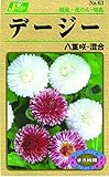 カネコ種苗 草花タネ063 デージー八重咲 混合 10袋セット