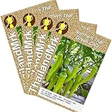唐辛子 Northern Thai Green Chili 4 Bulk ThailandMrk