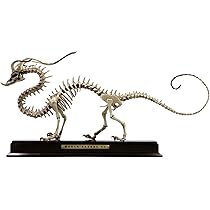 Amazon | BACALYSO | TTwei studio 走竜 龍 骨格 化石 47cm級
