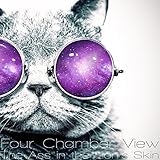 The Ass in the Lion's Skin