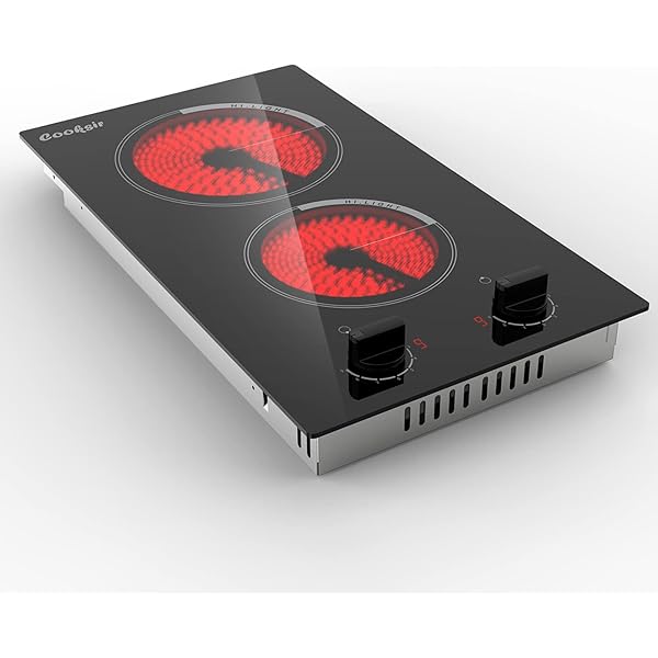 2 burner plug in cooktop