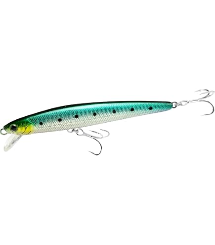 Amazon.co.jp: LUCKY CRAFT フラッシュミノー 95 MR ソルトウォーター