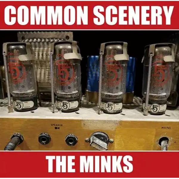 Amazon.co.jp: THE MINKS: ミュージック