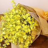 爽やかな黄色のオンシジウム花束　フラワーギフト 生花 誕生日 還暦 退職 結婚 プレゼント 贈り物