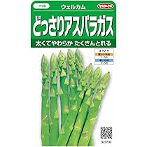 Amazon.co.jp: ITANSE アスパラガスの苗 ウェルカム 9cmポット 3