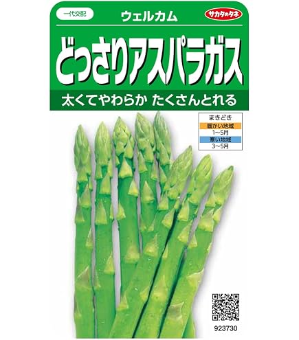 Amazon | カネコ種苗 園芸・種 KS300シリーズ ハイデル アスバラガス