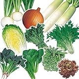 国華園　野菜たね　まんぷく秋・冬野菜たね１０点セット【※発送が国華園からの場合のみ正規品です】