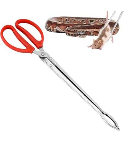 Amazon | ステンレス鋼の爬虫類給餌ツール、爬虫類給餌トング - 15