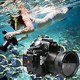 Sea Frogs Canon EOS 5D Mark III 5D Mark IV ダイビン...