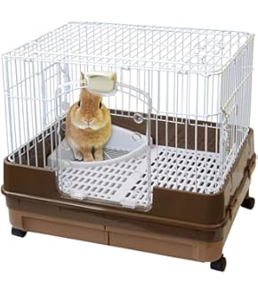 マルカン　ラビットケージ　小動物用 Amazon | マルカン ラビットボックス マルチカラー M サイズ