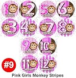 Milestone Stickers - 12 Stickers, PINK MONKEY STRIPE Onesie Stickers Baby Shower Gift Photo Shower S
