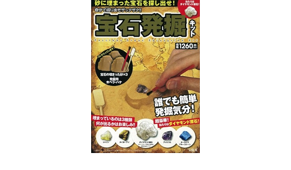 自分で掘り出せザックザク 宝石発掘キット バラエティ 本 通販 Amazon