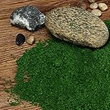 DIY ハンドメイドの建物モデル材質グラスツリースポンジパウダーグリーン花粉