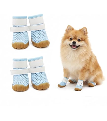 Amazon.co.jp: 犬用クロックス春夏レインブーツペット用品ゴールデン