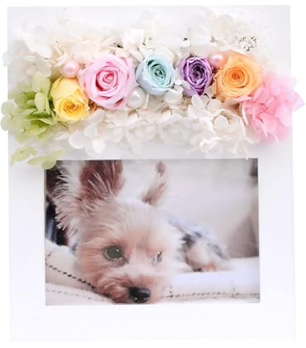 Amazon.co.jp: ディズニー リロ & スティッチ フォトフレーム