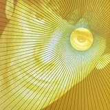 セット・ザ・トワイライト・リーリング - ルー・リード