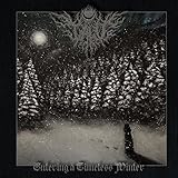 Entering A Timeless Winter