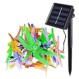 Outdoors Solar LED String Lights ANKO 19 Feet 20 LED Solar Powered Dragonfly Fair Lights Lighting an